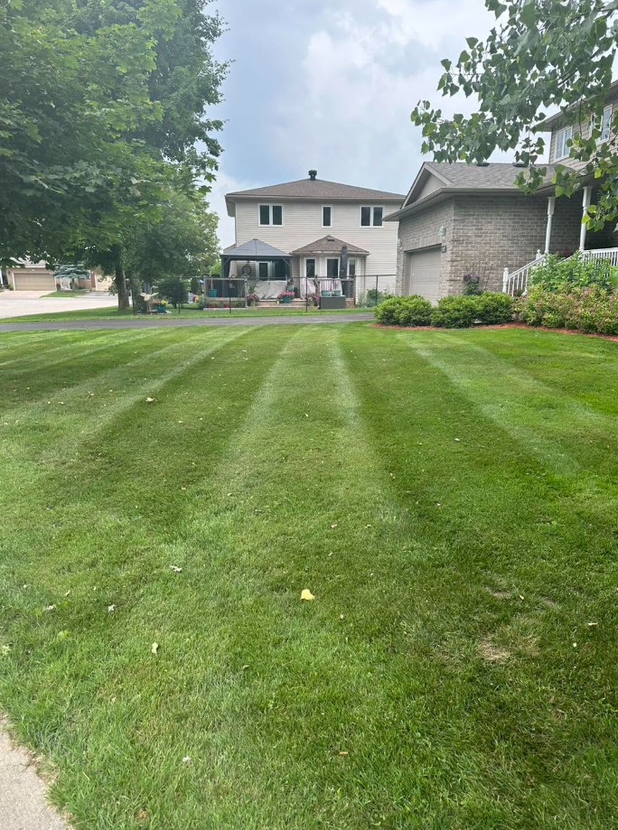 Residential curb appeal cut