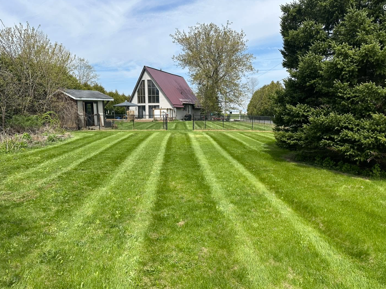 Backyard showcase stripes
