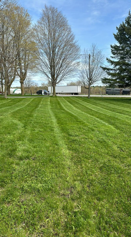 Fresh roadside stripe pattern
